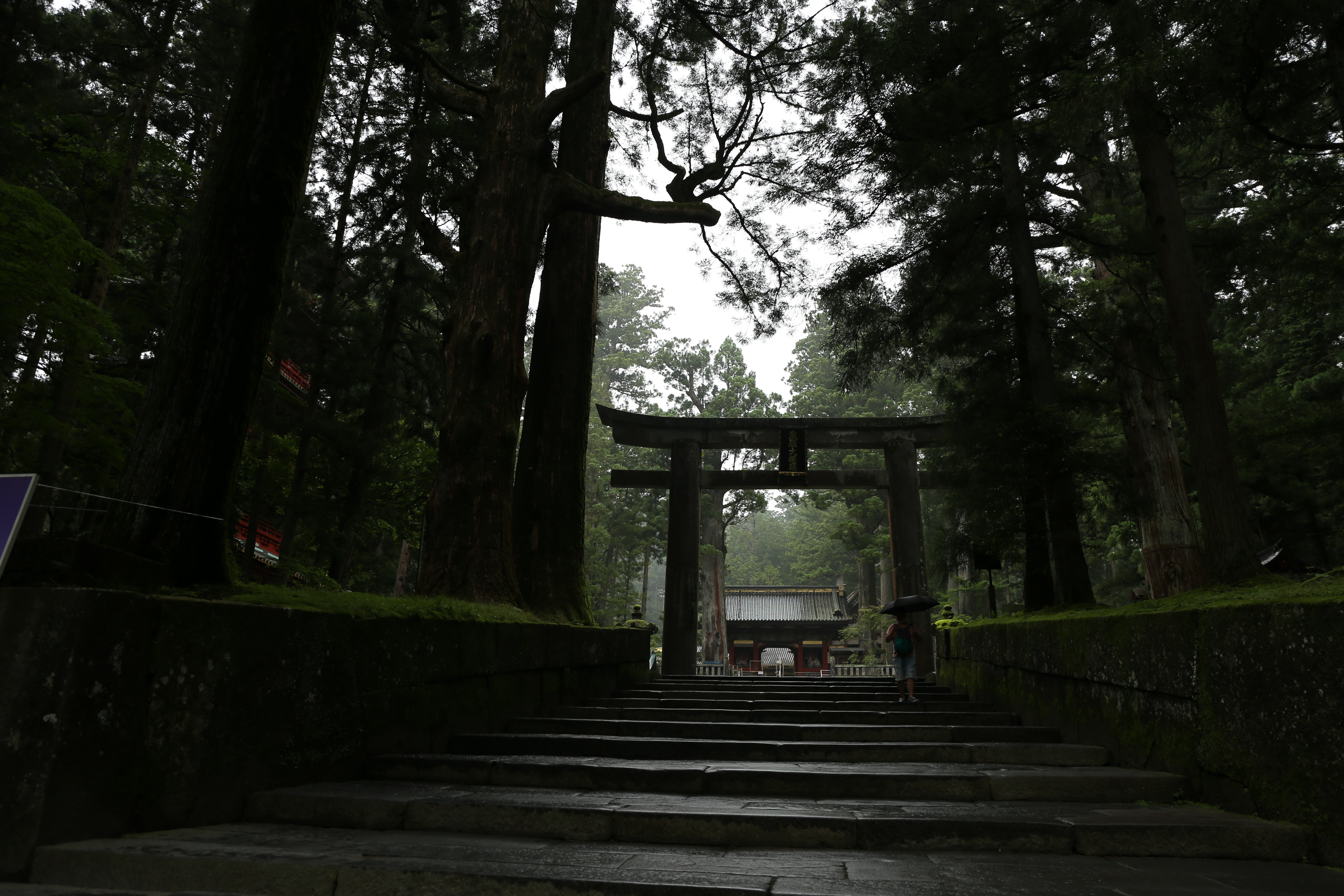 雨上がり石畳階段と鳥居