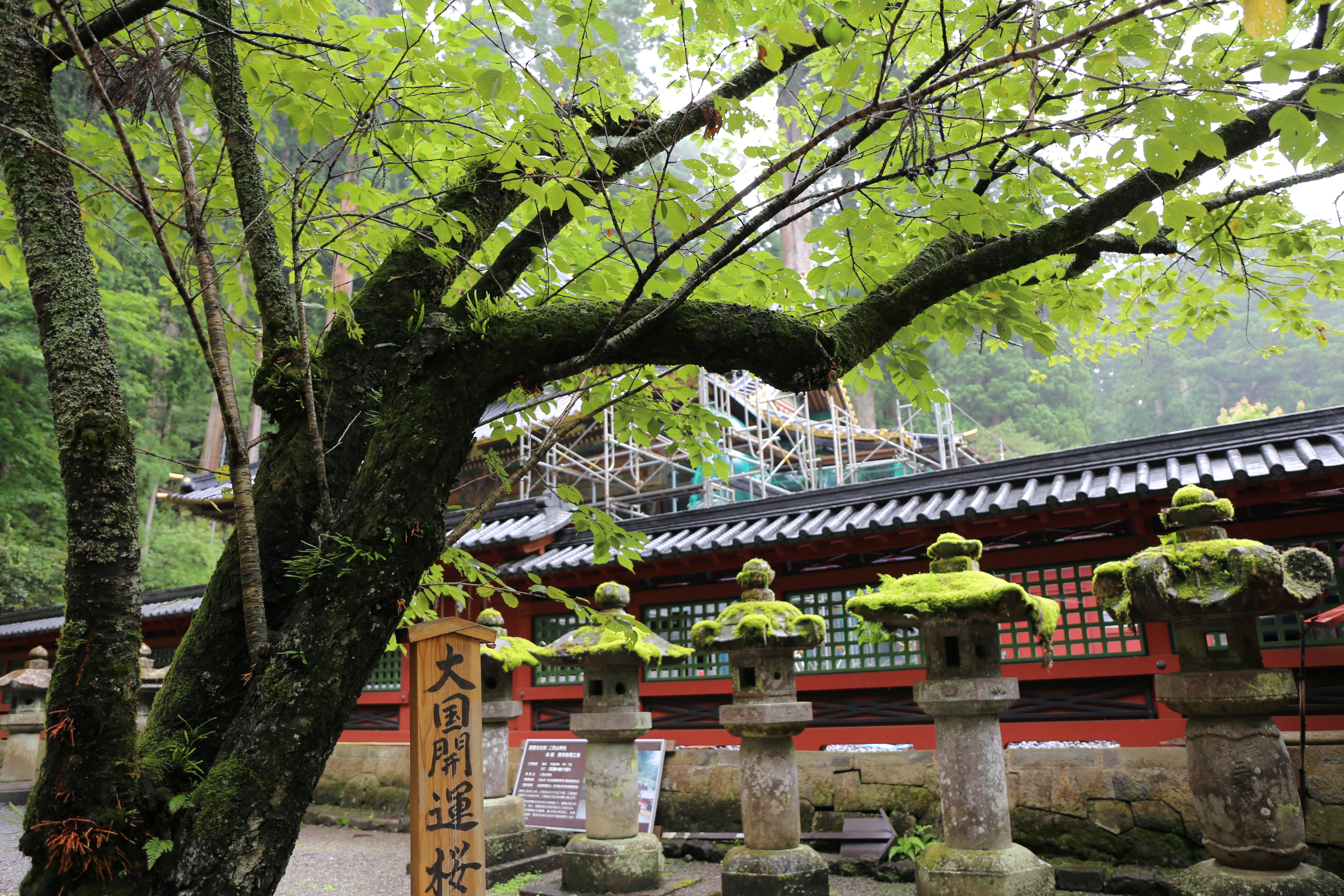 苔むした石灯籠