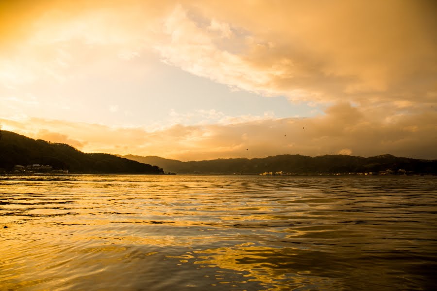 黄金の天橋立阿蘇海